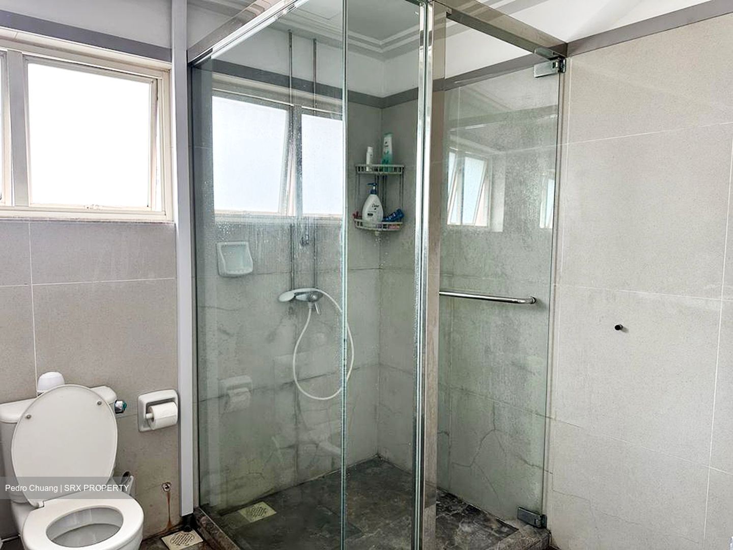 Sommerville Grandeur (D10), Condominium #516171291